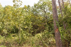 property photo for Stone Bridge Phase V Tract 365, 8.91 acres for sale in LatimerHaskell County, Oklahoma