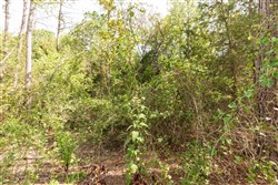 property photo for Stone Bridge Phase V Tract 365, 8.91 acres for sale in LatimerHaskell County, Oklahoma