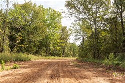 Stone Bridge Phase V Tract 366