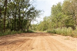Stone Bridge Phase V Tract 366