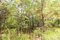 property photo for Stone Bridge Phase V Tract 367, 20.23 acres for sale in LatimerHaskell County, Oklahoma