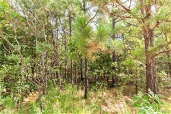 property photo for Stone Bridge Phase V Tract 367, 20.23 acres for sale in LatimerHaskell County, Oklahoma