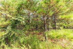 property photo for Stone Bridge Phase V Tract 367, 20.23 acres for sale in LatimerHaskell County, Oklahoma