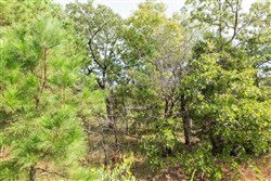property photo for Stone Bridge Phase V Tract 367, 20.23 acres for sale in LatimerHaskell County, Oklahoma