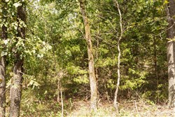 property photo for Stone Bridge Phase V Tract 368, 5.83 acres for sale in LatimerHaskell County, Oklahoma