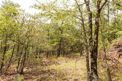 property photo for Stone Bridge Phase V Tract 369, 5.08 acres for sale in LatimerHaskell County, Oklahoma