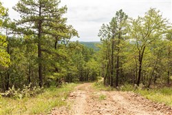 property photo for Stone Bridge Phase V Tract 369, 5.08 acres for sale in LatimerHaskell County, Oklahoma