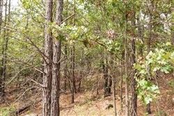property photo for Stone Bridge Phase V Tract 369, 5.08 acres for sale in LatimerHaskell County, Oklahoma