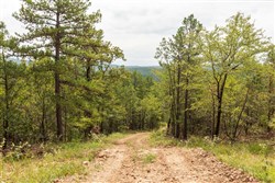 property photo for Stone Bridge Phase V Tract 369, 5.08 acres for sale in LatimerHaskell County, Oklahoma