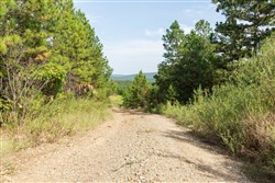 property photo for Stone Bridge Phase V Tract 370, 7 acres for sale in LatimerHaskell County, Oklahoma
