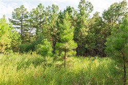 property photo for Stone Bridge Phase V Tract 370, 7 acres for sale in LatimerHaskell County, Oklahoma