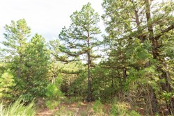 property photo for Stone Bridge Phase V Tract 370, 7 acres for sale in LatimerHaskell County, Oklahoma