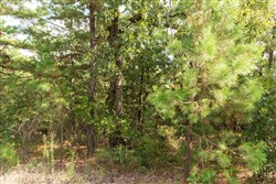 property photo for Stone Bridge Phase V Tract 370, 7 acres for sale in LatimerHaskell County, Oklahoma