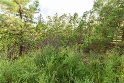 property photo for Stone Bridge Phase V Tract 370, 7 acres for sale in LatimerHaskell County, Oklahoma