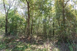 property photo for Stone Bridge Phase V Tract 371, 8.58 acres for sale in LatimerHaskell County, Oklahoma