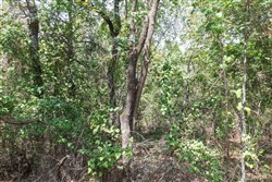 property photo for Stone Bridge Phase V Tract 371, 8.58 acres for sale in LatimerHaskell County, Oklahoma