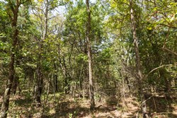 property photo for Stone Bridge Phase V Tract 372, 6.62 acres for sale in LatimerHaskell County, Oklahoma