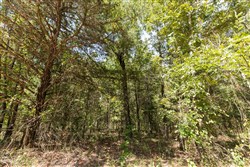 property photo for Stone Bridge Phase V Tract 372, 6.62 acres for sale in LatimerHaskell County, Oklahoma