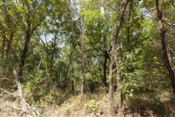 property photo for Stone Bridge Phase V Tract 372, 6.62 acres for sale in LatimerHaskell County, Oklahoma