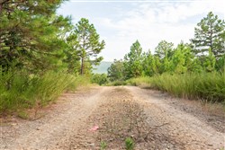 property photo for Stone Bridge Phase V Tract 373, 6.59 acres for sale in LatimerHaskell County, Oklahoma