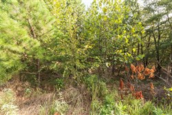 property photo for Stone Bridge Phase V Tract 373, 6.59 acres for sale in LatimerHaskell County, Oklahoma