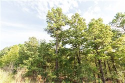 property photo for Stone Bridge Phase V Tract 373, 6.59 acres for sale in LatimerHaskell County, Oklahoma