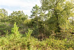 property photo for Stone Bridge Phase V Tract 374, 6.18 acres for sale in LatimerHaskell County, Oklahoma