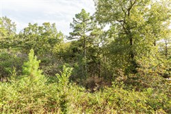 property photo for Stone Bridge Phase V Tract 374, 6.18 acres for sale in LatimerHaskell County, Oklahoma