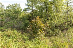 property photo for Stone Bridge Phase V Tract 374, 6.18 acres for sale in LatimerHaskell County, Oklahoma