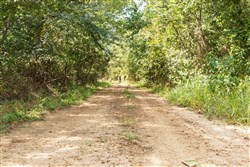 property photo for Stone Bridge Phase V Tract 375, 6.78 acres for sale in LatimerHaskell County, Oklahoma