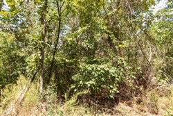 property photo for Stone Bridge Phase V Tract 375, 6.78 acres for sale in LatimerHaskell County, Oklahoma