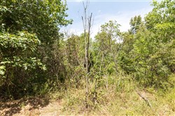 property photo for Stone Bridge Phase V Tract 375, 6.78 acres for sale in LatimerHaskell County, Oklahoma