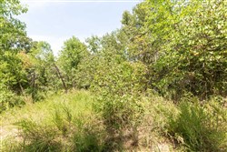 property photo for Stone Bridge Phase V Tract 375, 6.78 acres for sale in LatimerHaskell County, Oklahoma