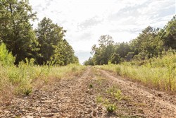 Stone Bridge Phase V Tract 377