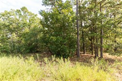 Stone Bridge Phase V Tract 377