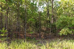 Stone Bridge Phase V Tract 377