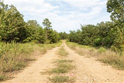 Stone Bridge Phase V Tract 378