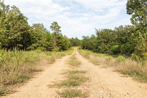 Stone Bridge Phase V Tract 378