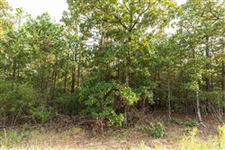 Stone Bridge Phase V Tract 378