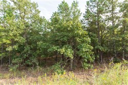 Stone Bridge Phase V Tract 378