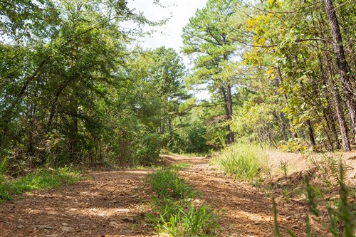 Stone Bridge Phase V Tract 379