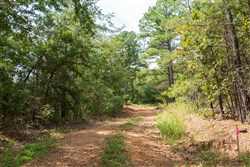 Stone Bridge Phase V Tract 379