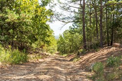 property photo for Stone Bridge Phase V Tract 380, 9.17 acres for sale in LatimerHaskell County, Oklahoma