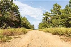 property photo for Stone Bridge Phase V Tract 381, 7.19 acres for sale in LatimerHaskell County, Oklahoma