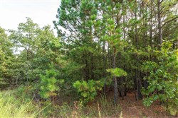 property photo for Stone Bridge Phase V Tract 381, 7.19 acres for sale in LatimerHaskell County, Oklahoma