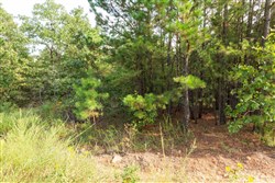 property photo for Stone Bridge Phase V Tract 381, 7.19 acres for sale in LatimerHaskell County, Oklahoma