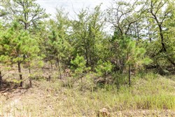 property photo for Stone Bridge Phase V Tract 382, 8.84 acres for sale in LatimerHaskell County, Oklahoma