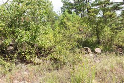 property photo for Stone Bridge Phase V Tract 382, 8.84 acres for sale in LatimerHaskell County, Oklahoma