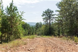 property photo for Stone Bridge Phase V Tract 382, 8.84 acres for sale in LatimerHaskell County, Oklahoma