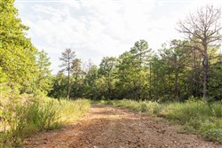 property photo for Stone Bridge Phase V Tract 383, 5.45 acres for sale in LatimerHaskell County, Oklahoma